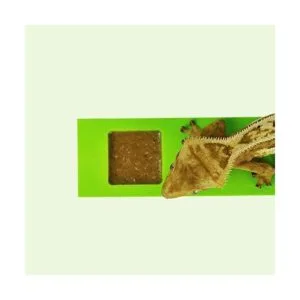 GECKOPIA Reptile Flex Bridge Reptile Bridge Gecko_4