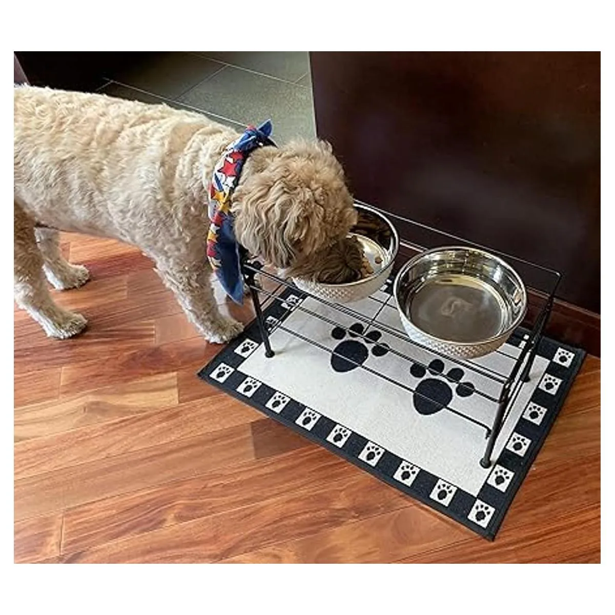 Juego de mesa de comedor elevada para mascotas_7