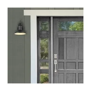 Globe Electric 44862 Aplique de pared para interiores y_3