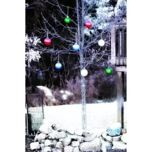 Xodus Innovations WP5653 Luz de globo decorativa para_5