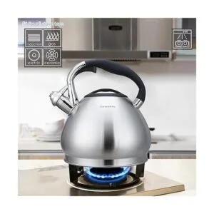 Easyworkz Hervidor de té de acero inoxidable de grado_3