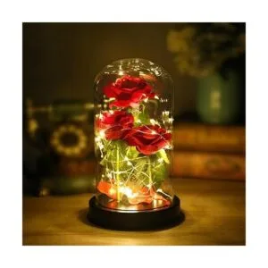 Regalos del Día de la Madre rosa de La Bella y la Bestia_2