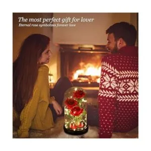 Regalos del Día de la Madre rosa de La Bella y la Bestia_6