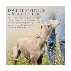 NINA WOOF Collar de perro compatible con AirTag 2021_3