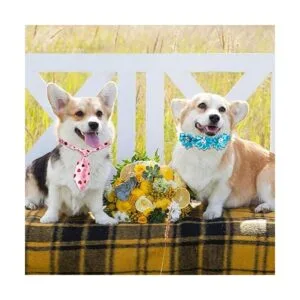 El juego de 100 corbatas ajustables para perros incluye 50_6