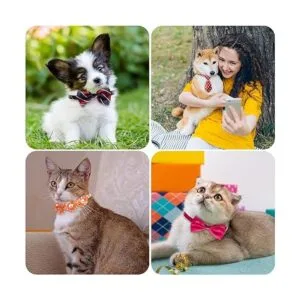 El juego de 100 corbatas ajustables para perros incluye 50_7