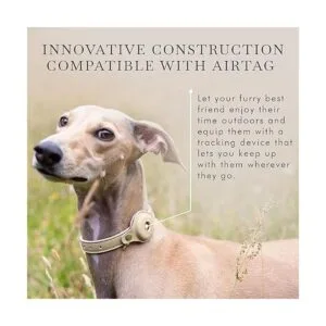 NINA WOOF Collar de perro compatible con AirTag 2021_5
