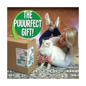 Kitty City Claw Indoor Mega Kit Cat Furniture Corrugate_2