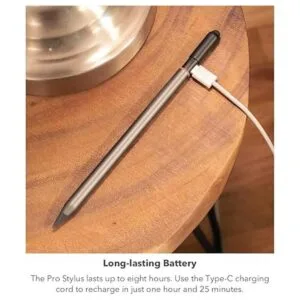 ZAGG Lápiz óptico profesional con puntas activas y_2