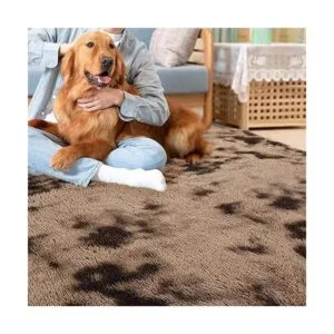 CAROMIO Alfombras esponjosas para sala de estar 5 x 8_6