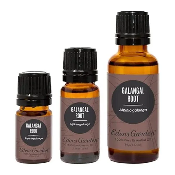 Edens Garden Aceite esencial de raíz galangal 100 puro_7