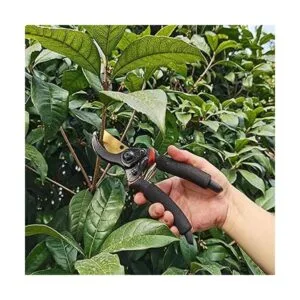 YRTSH Juego combinado de tijeras y podadora de setos_7