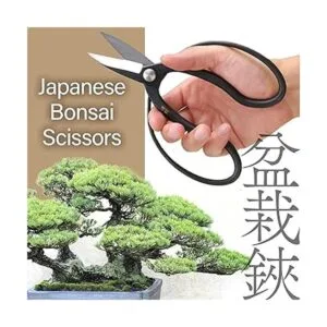Tijeras japonesas Suiryu bonsái Tijeras de podar Hasami_2