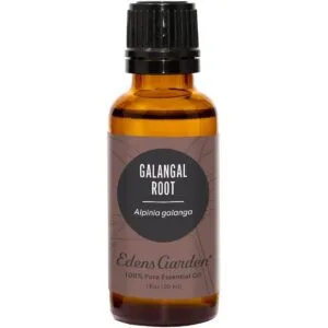 Edens Garden Aceite esencial de raíz galangal 100 puro_1