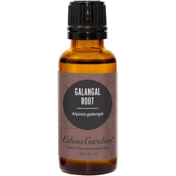 Edens Garden Aceite esencial de raíz galangal 100 puro_1