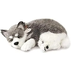 Muñeco de peluche 88 Unlimited Alaskan Husky_1