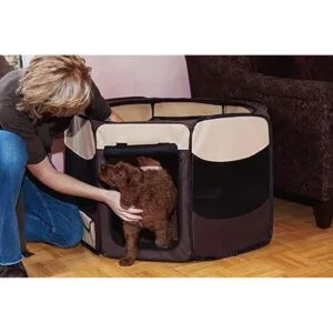 Pet Gear Travel Lite Bolígrafo de juego portátil con tapa_2