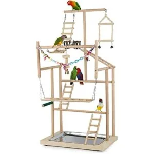 Ibnotuiy Pet Parrot Playstand Parrots Bird Playground Bird_1