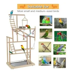 Ibnotuiy Pet Parrot Playstand Parrots Bird Playground Bird_6