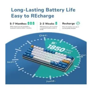 RK ROYAL KLUDGE Teclado mecánico inalámbrico RK61 Plus_3