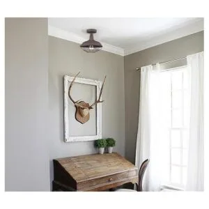 DAYCENT Luces de techo rústicas semiempotradas jaula de_4