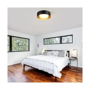 Yasince Modernas luces de techo negras y doradas_4