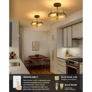 EAPUDUN Lámpara de techo de granja lámparas de techo_3