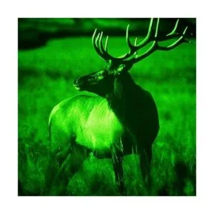 Bsod Luz de cerdo luces solares verdes para caza ciervo_5