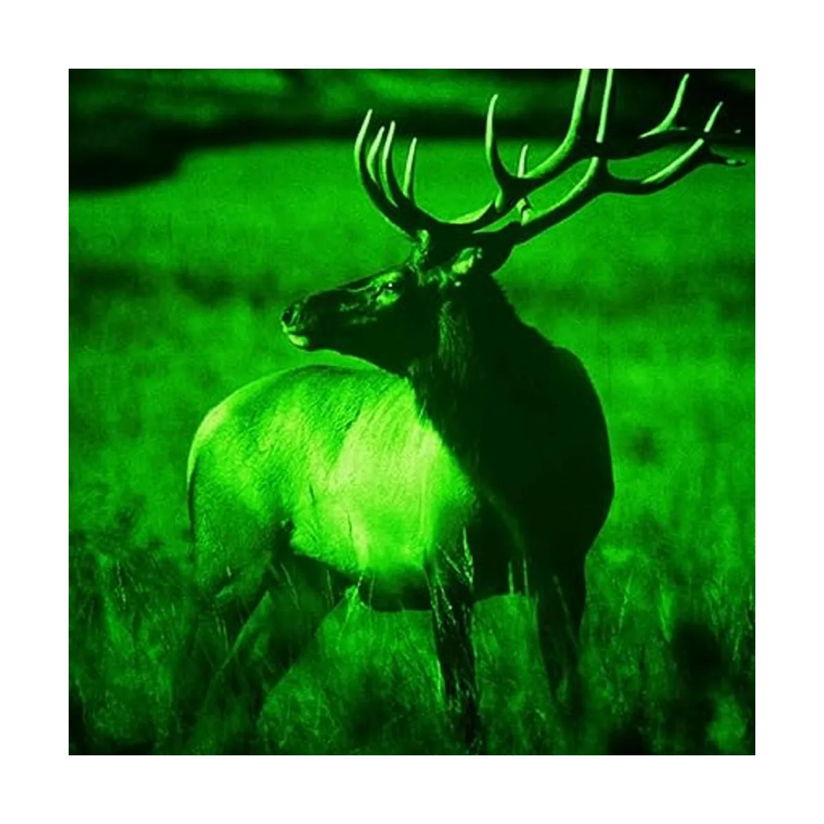 Bsod Luz de cerdo luces solares verdes para caza ciervo_5