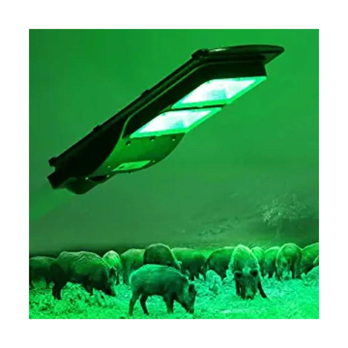 Bsod Luz de cerdo luces solares verdes para caza ciervo_1