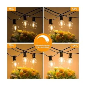 Cadena de luces LED G40 de 200 pies 100 x 2 para_4