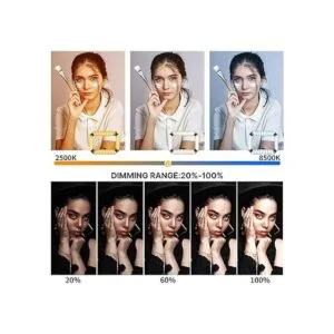 ULANZI Aparejo de video para smartphone con luz_2