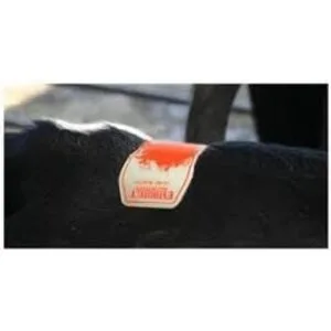 DETECTOR DE CALOR ESTROTECT RDO PK50_2