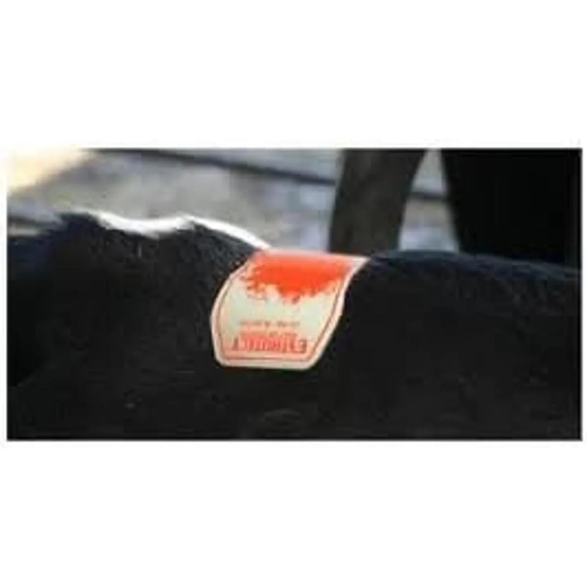 DETECTOR DE CALOR ESTROTECT RDO PK50_2