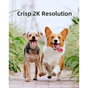 Noorio Cámara de seguridad B210 para exteriores con_3