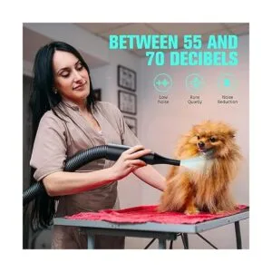 Pet Dryer 5.2HP3800W Pet Grooming Dryer with Adjustable_4