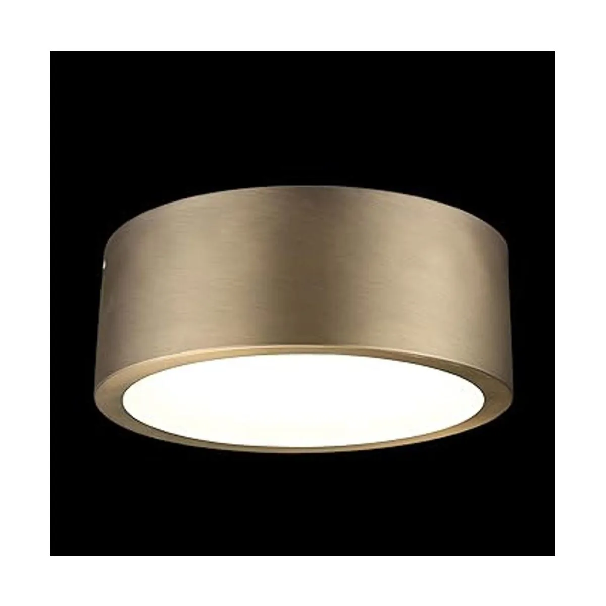 Globe Electric 60979 Lámpara de techo LED integrada de_2