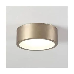 Globe Electric 60979 Lámpara de techo LED integrada de_5