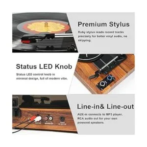 Reproductor de discos de vinilo con altavoces externos_4