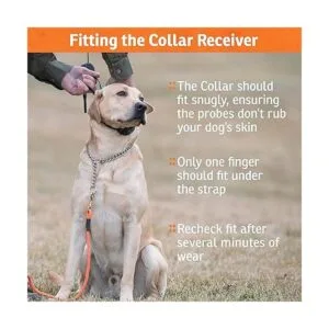 SportDOG Brand FieldTrainer Entrenador remoto 425X_5