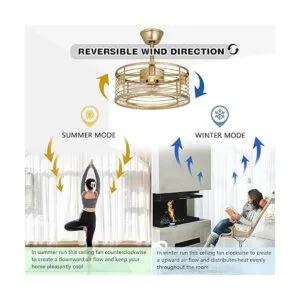 Ventiladores de techo enjaulados con luces de control_3