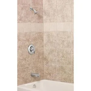 Tina con regadera Moen Eva PosiTemp T2133BN_6