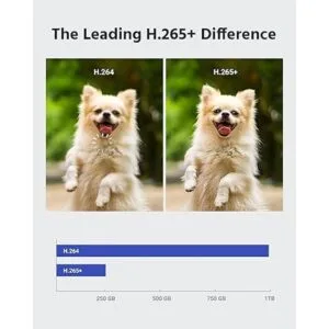 ANNKE Sistema de 8 canales para cámara de seguridad 5 en_3