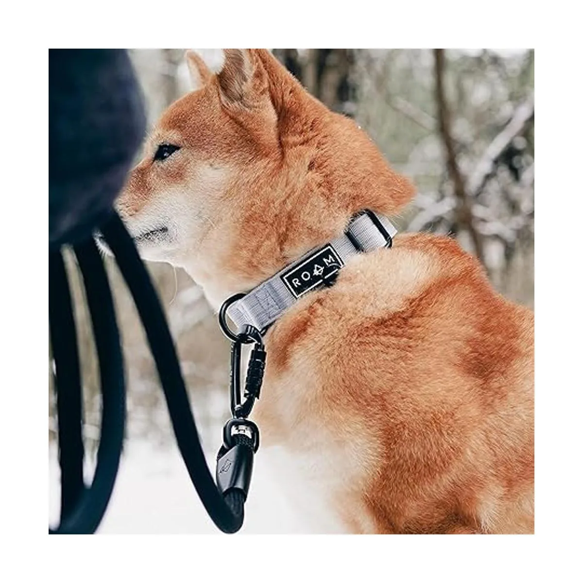 ROAM Collar de perro de nailon de alta resistencia y_3