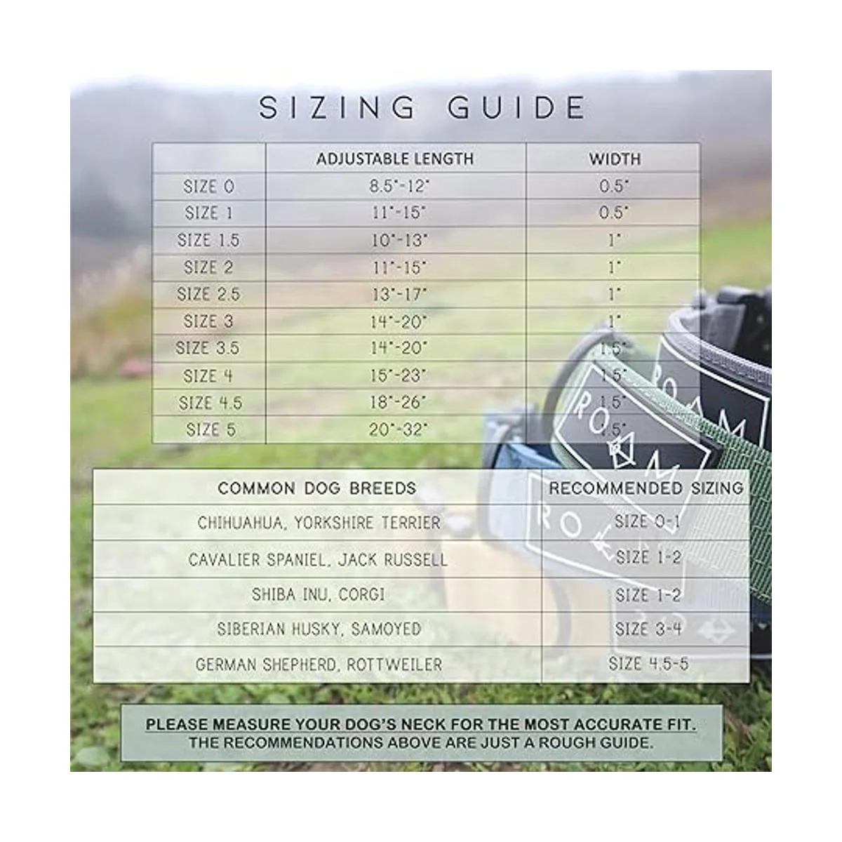 ROAM Collar de perro de nailon de alta resistencia y_5