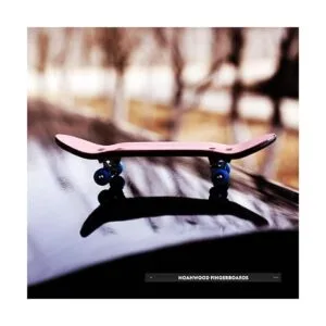 Noahwood X Fingerbird Pro Puertas de madera para_5