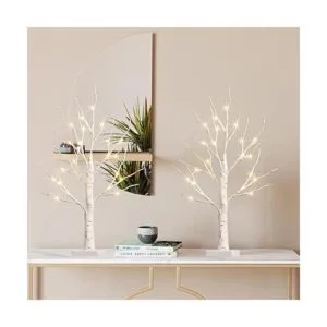 EAMBRITE Juego de 2 luces LED de abedul de 2 pies y 24_3