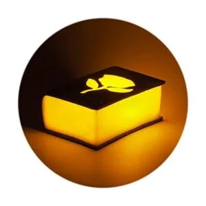 Lámpara de noche LED con temporizador luz de libro AAA_1