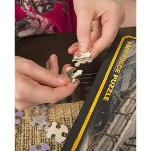 Rompecabezas de 1000 piezas de White Mountain Puzzles de_3