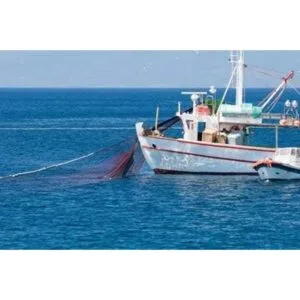 Gran cordel de nailon trenzado blanco 72 fibra de alta_3